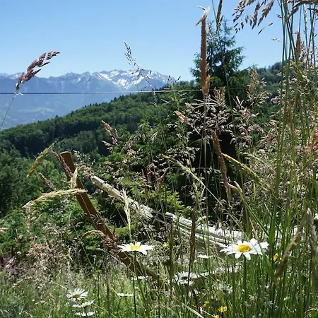 Herzli-chalet Ueber Dem Rheintal Mit Schlossblick Alpstuga *