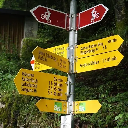 Alpstuga Herzli-chalet Ueber Dem Rheintal Mit Schlossblick *