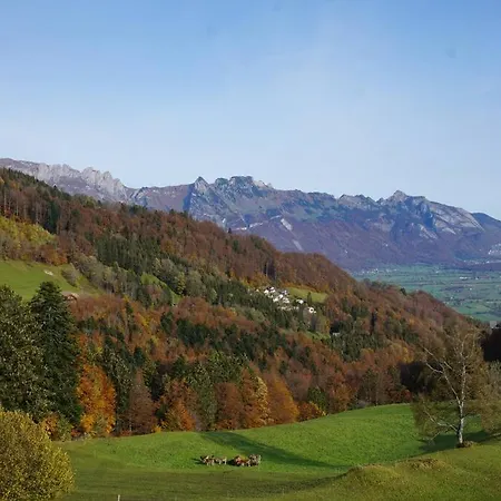 Herzli-chalet Ueber Dem Rheintal Mit Schlossblick Alpstuga Werdenberg