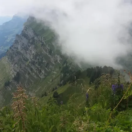 Herzli-chalet Ueber Dem Rheintal Mit Schlossblick * Werdenberg
