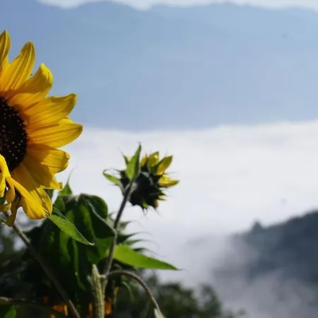 Herzli-chalet Ueber Dem Rheintal Mit Schlossblick Alpstuga Werdenberg