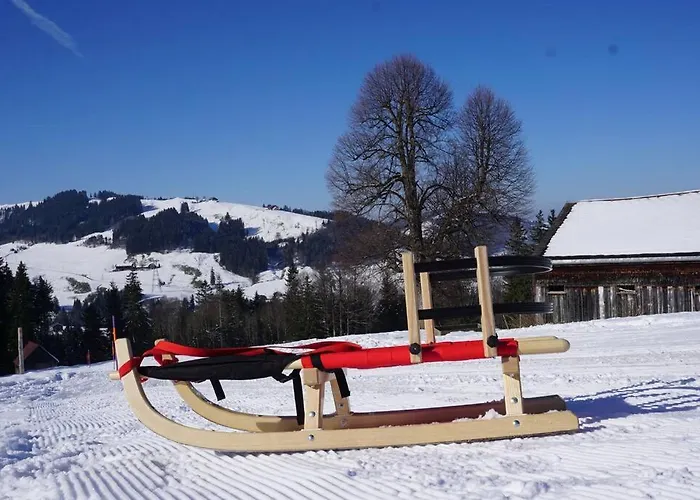 Herzli-chalet Ueber Dem Rheintal Mit Schlossblick Chalet Werdenberg