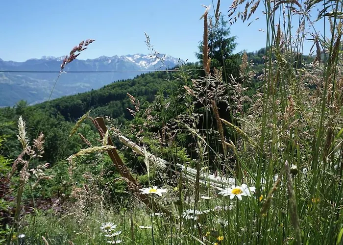 Herzli-chalet Ueber Dem Rheintal Mit Schlossblick Chalet *
