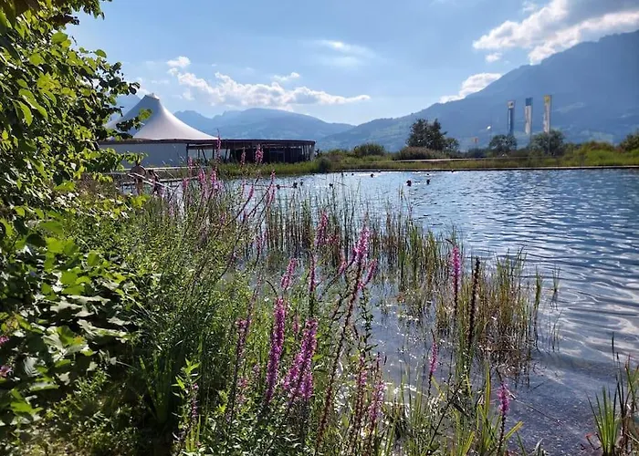 Herzli-chalet Ueber Dem Rheintal Mit Schlossblick * Werdenberg