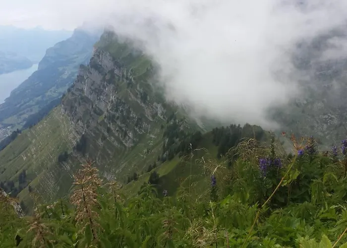 Alpstuga Herzli-chalet Ueber Dem Rheintal Mit Schlossblick Werdenberg