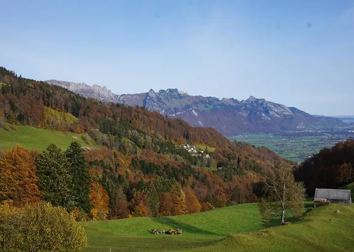 Herzli-chalet Ueber Dem Rheintal Mit Schlossblick Alpstuga Werdenberg