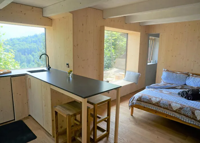 Herzli-chalet Ueber Dem Rheintal Mit Schlossblick Chalet Werdenberg