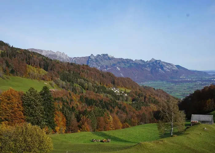 Herzli-chalet Ueber Dem Rheintal Mit Schlossblick