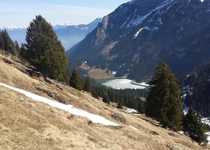 Chalet Herzli-chalet Ueber Dem Rheintal Mit Schlossblick Werdenberg