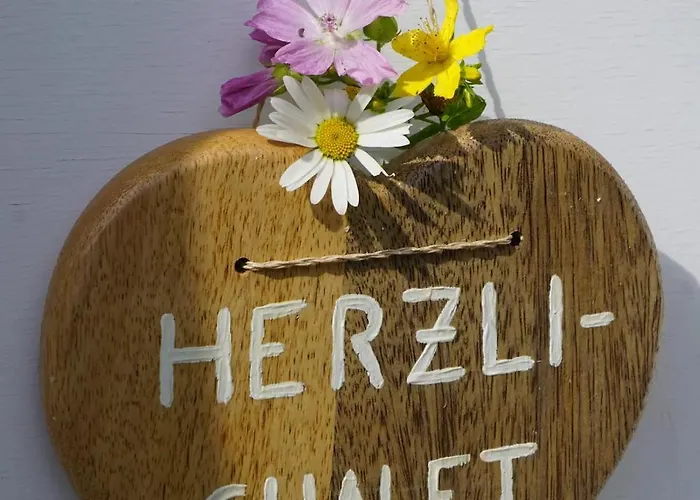 Alpstuga Herzli-chalet Ueber Dem Rheintal Mit Schlossblick Werdenberg