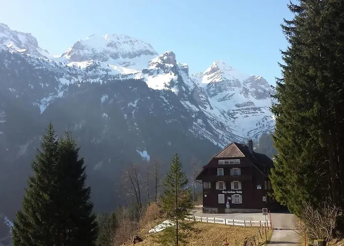 Herzli-chalet Ueber Dem Rheintal Mit Schlossblick Chalet