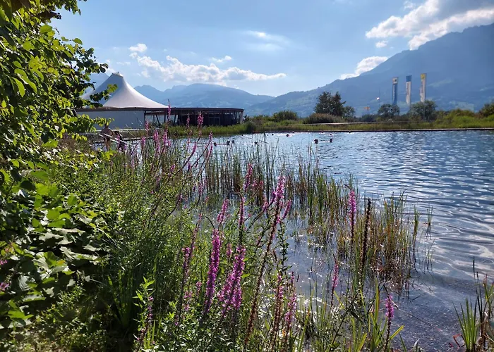 Herzli-chalet Ueber Dem Rheintal Mit Schlossblick Chalet *