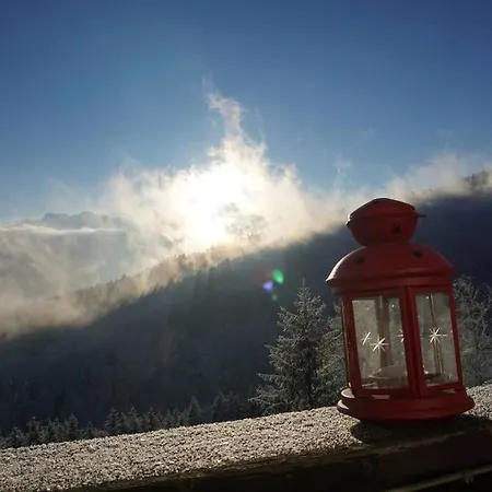 Herzli-chalet Ueber Dem Rheintal Mit Schlossblick *