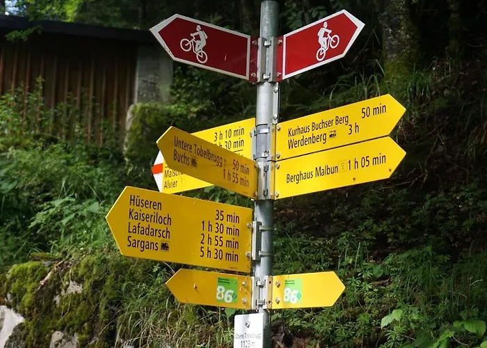 Chalet Herzli-chalet Ueber Dem Rheintal Mit Schlossblick *