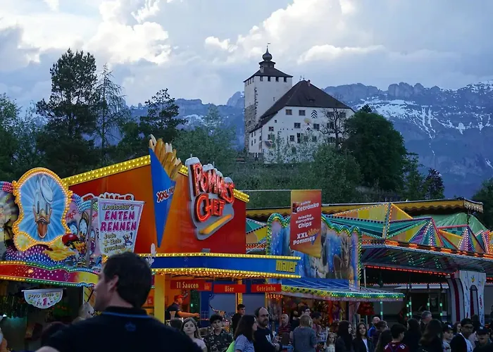 Herzli-chalet Ueber Dem Rheintal Mit Schlossblick Chalet