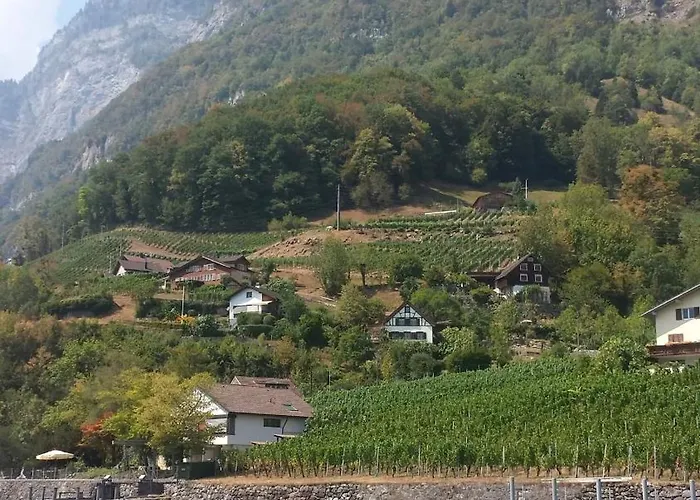 Herzli-chalet Ueber Dem Rheintal Mit Schlossblick Chalet *