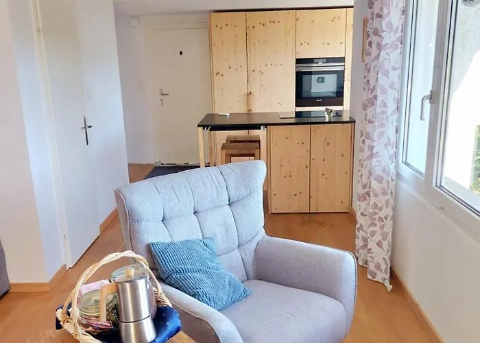 Herzli-chalet Ueber Dem Rheintal Mit Schlossblick *