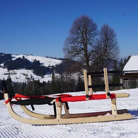 Herzli-chalet Ueber Dem Rheintal Mit Schlossblick Chalet Werdenberg