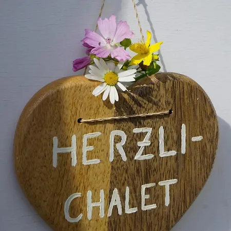 Chalet Herzli-chalet Ueber Dem Rheintal Mit Schlossblick Werdenberg
