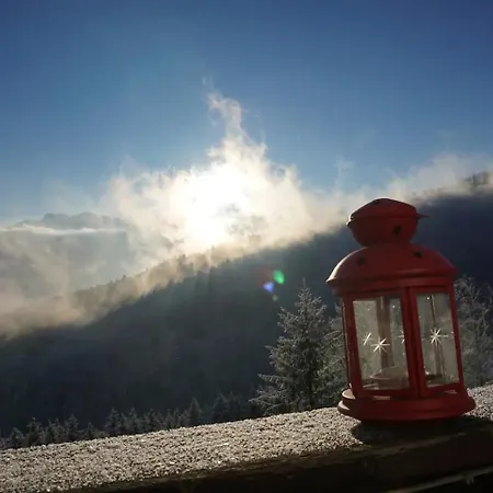 Chalet Herzli-chalet Ueber Dem Rheintal Mit Schlossblick Werdenberg